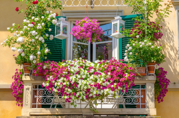 Taman dengan pot tanaman gantung di teras